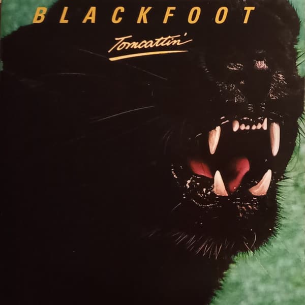 Blackfoot (3) – Tomcattin'
