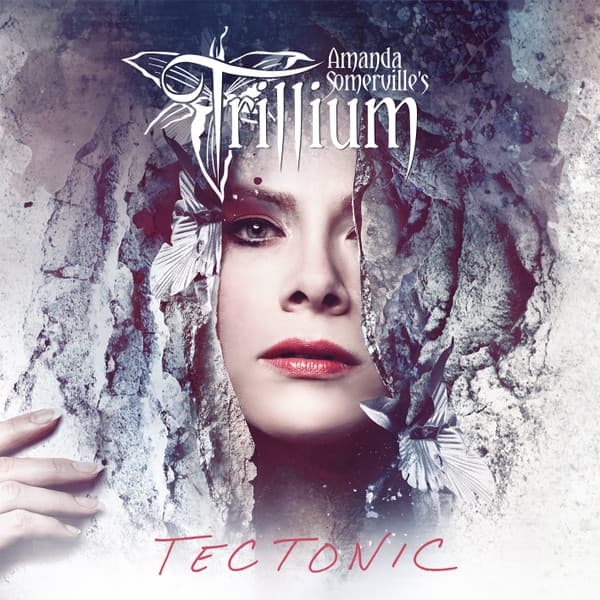 Trillium – Tectonic