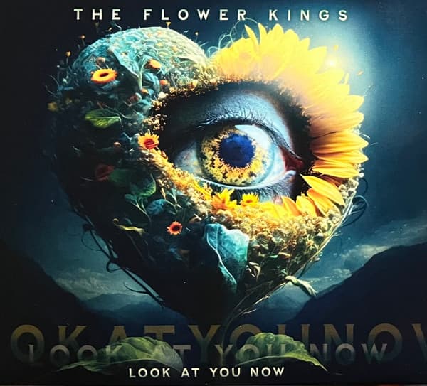 The Flower Kings – Look At You Now cover art