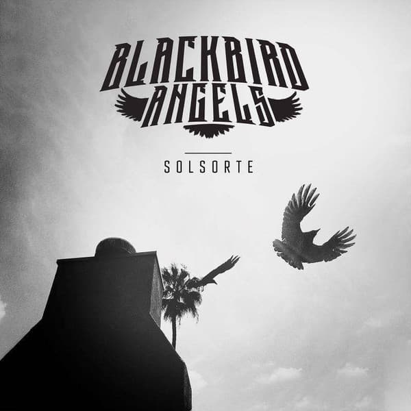 Blackbird Angels – Solsorte