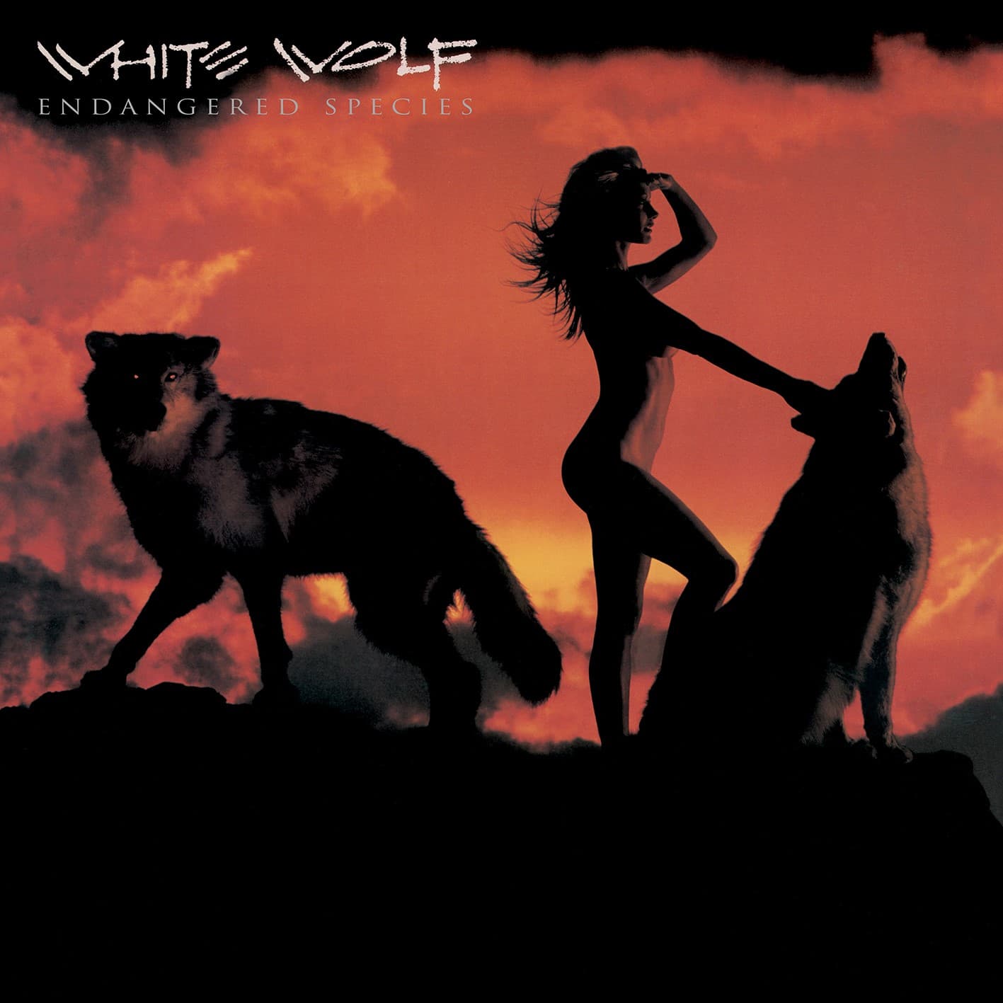 White Wolf – Endangered Species